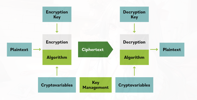 Encryption