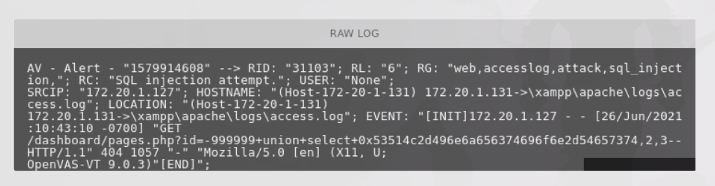 Raw Log